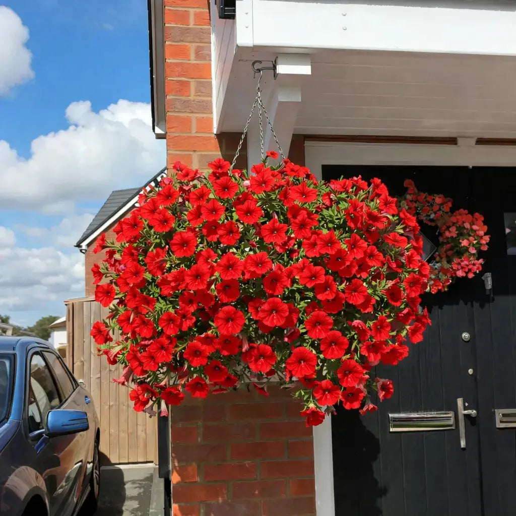 🔥 On Sale Only Today 🌸 UV Resistant Artificial Petunias Flowers for Planters, Patio, Garden & Home Decor, Outdoor & Indoor