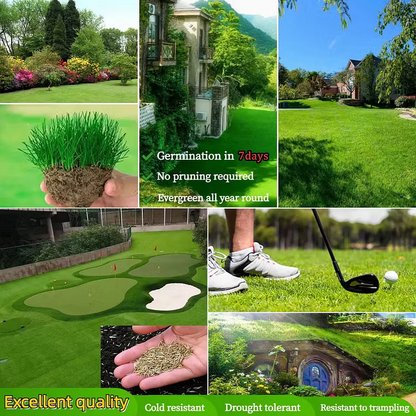 🎁🎁Only 5 Bags Left Today! Enjoy An EXTRA 30% OFF Before Midnight! Lawn experts tested that 4-5 packs can quickly grow a thick, evergreen lawn that stays lush and green through all four seasons!
