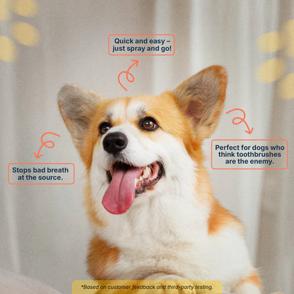 Meet the #1 Vet-Recommended Tartar Care Spray for Dogs & Cats