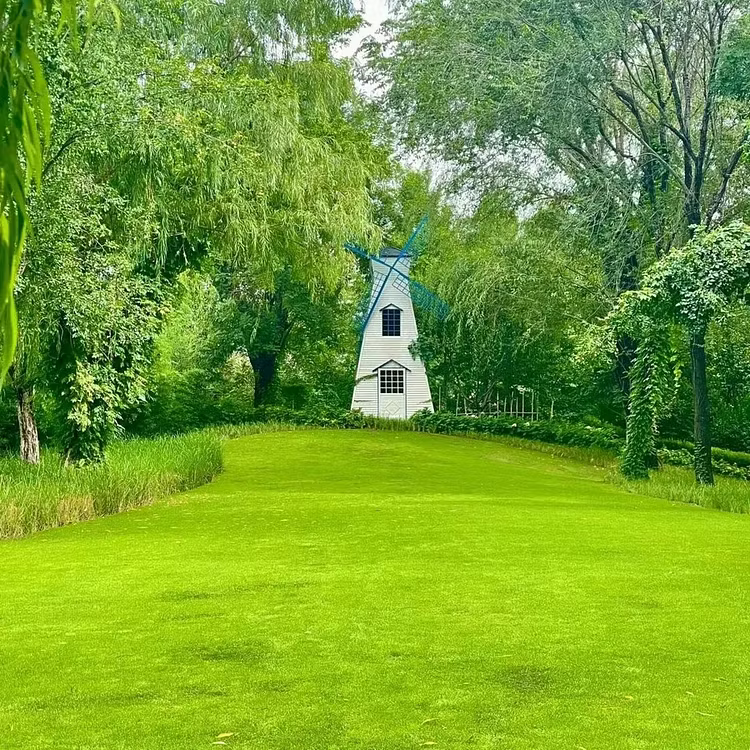 🎁🎁Only 5 Bags Left Today! Enjoy An EXTRA 30% OFF Before Midnight! Lawn experts tested that 4-5 packs can quickly grow a thick, evergreen lawn that stays lush and green through all four seasons!