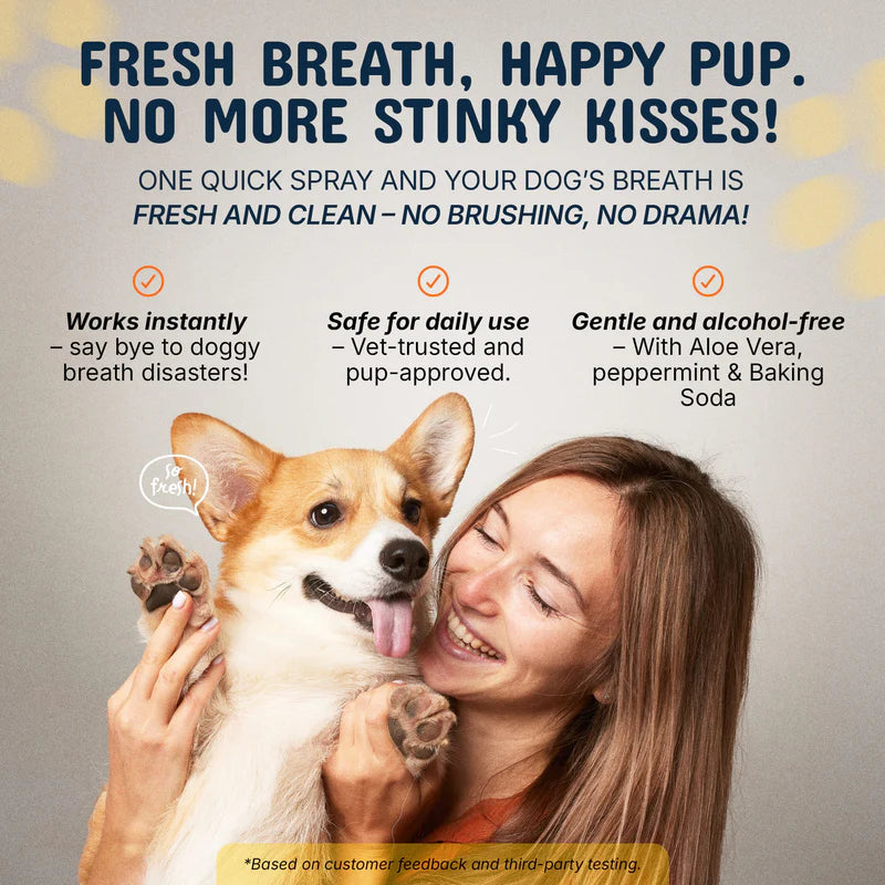 Meet the #1 Vet-Recommended Tartar Care Spray for Dogs & Cats