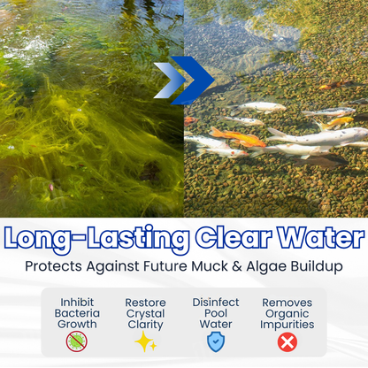 ✨ From Green to Clean Overnight! |⏱️ Crystal Clear in 24 Hours! | Juxek® Aqua-Shield Pro Formula
