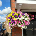 🔥 On Sale Only Today 🌸 UV Resistant Artificial Petunias Flowers for Planters, Patio, Garden & Home Decor, Outdoor & Indoor