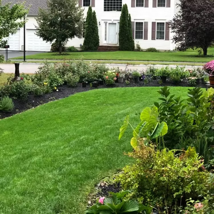 🎁🎁Only 5 Bags Left Today! Enjoy An EXTRA 30% OFF Before Midnight! Lawn experts tested that 4-5 packs can quickly grow a thick, evergreen lawn that stays lush and green through all four seasons!
