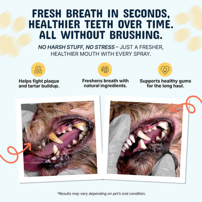 Meet the #1 Vet-Recommended Tartar Care Spray for Dogs & Cats