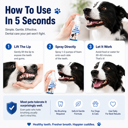 Meet the #1 Vet-Recommended Tartar Care Spray for Dogs & Cats