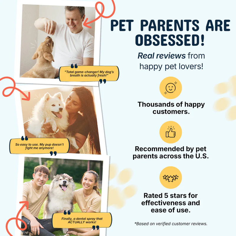 Meet the #1 Vet-Recommended Tartar Care Spray for Dogs & Cats