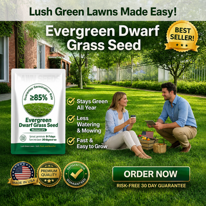 🎁🎁Only 5 Bags Left Today! Enjoy An EXTRA 30% OFF Before Midnight! Lawn experts tested that 4-5 packs can quickly grow a thick, evergreen lawn that stays lush and green through all four seasons!